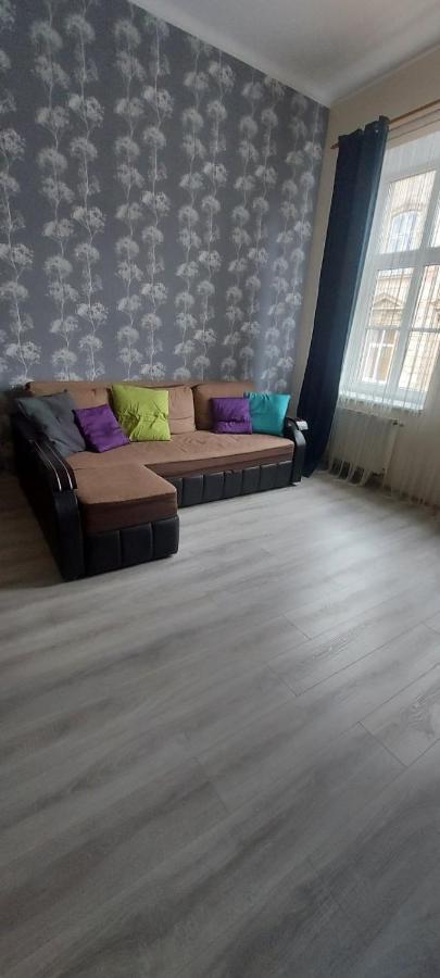 2 Bedroom Apartment On Tomashivskogo Street 7 Lviv Kültér fotó